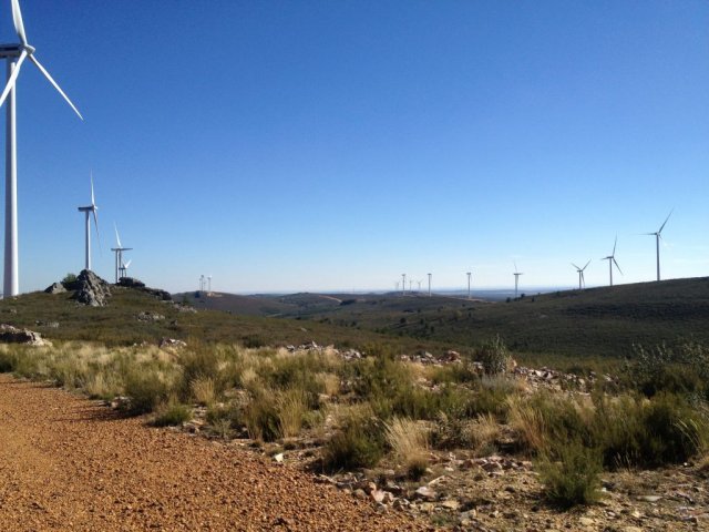 35 hidrosiembras plantaciones